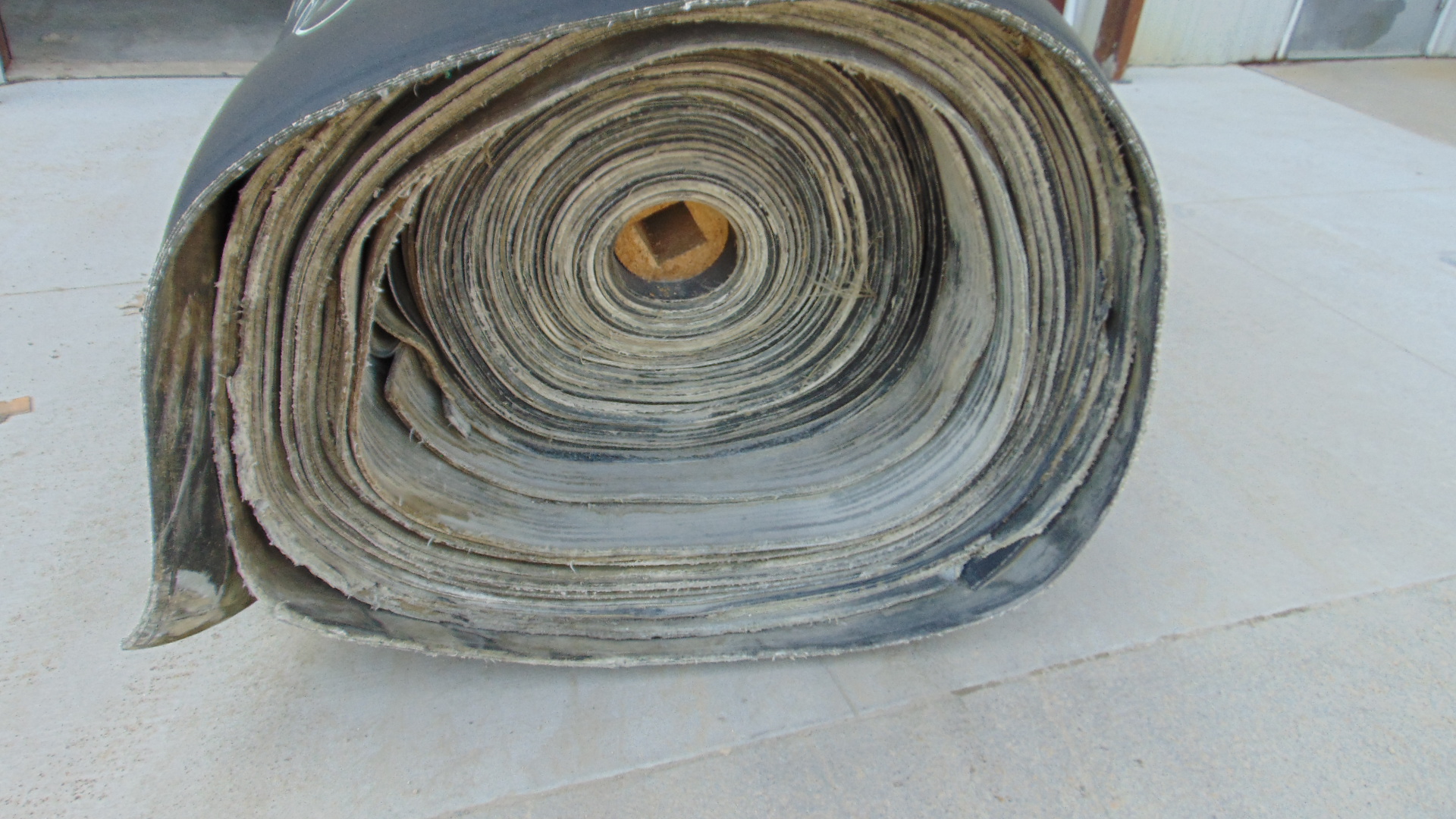 Rolled conveyor belt
