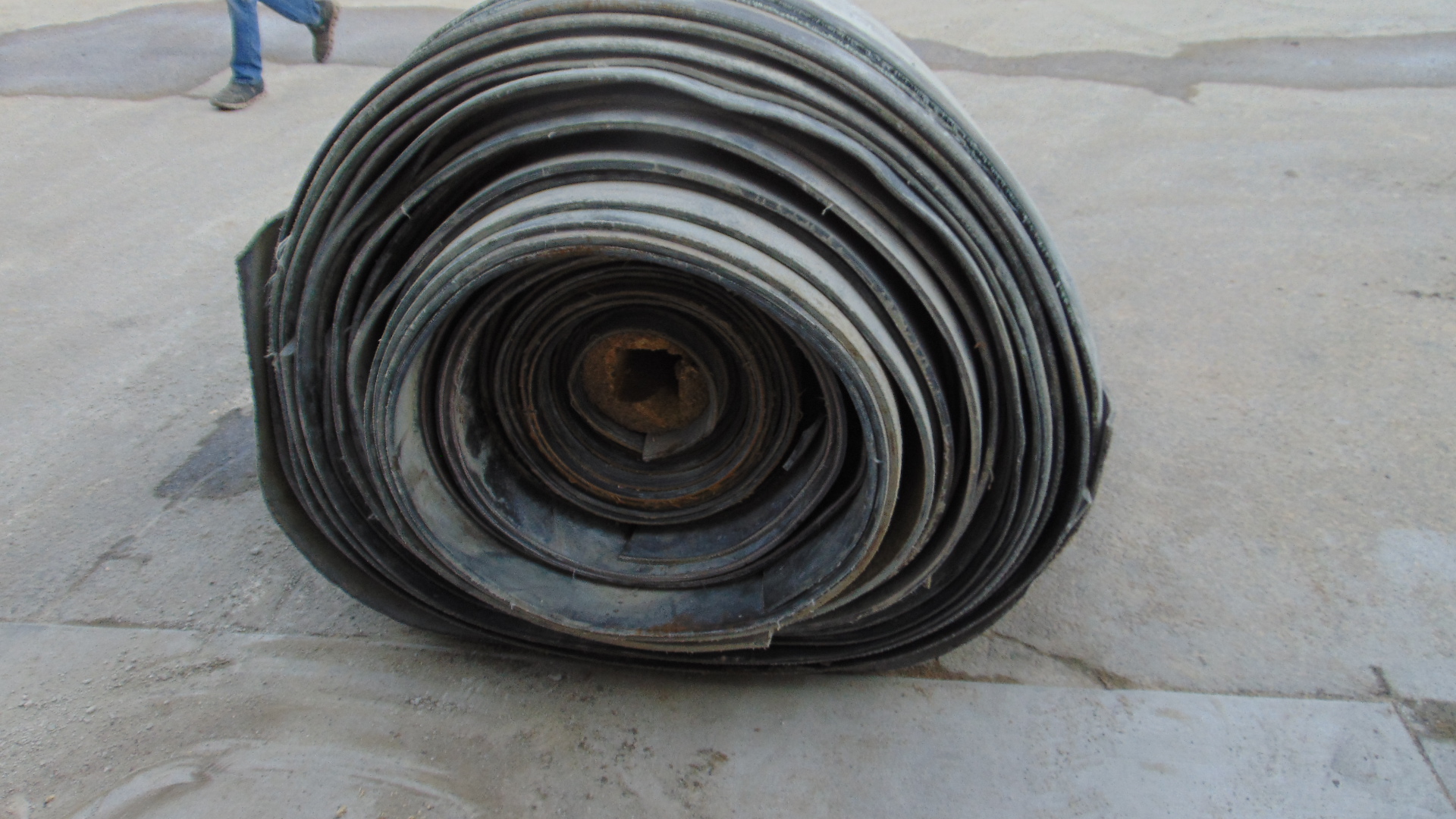 Conveyor belt stock